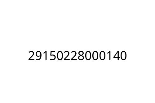 29150228000140