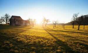 lag on game playonit55