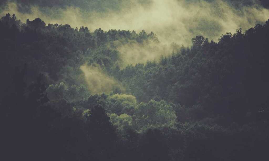 1616 significado llamas gemelas