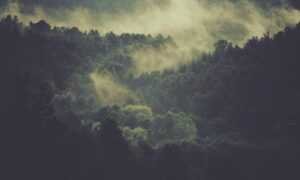 1616 significado llamas gemelas