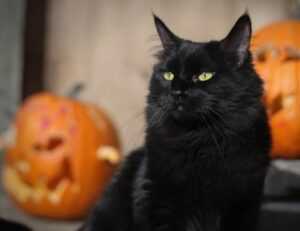 argentina bayern players