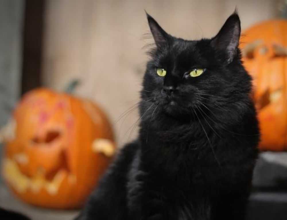 argentina bayern players