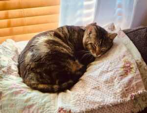 blessed tattoo pe gat