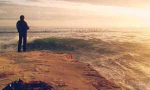 nivel 59 de 4 fotos 1 palabra