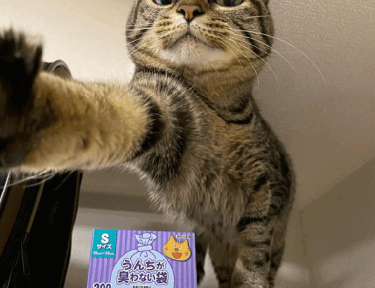 nurul hidayah twitter