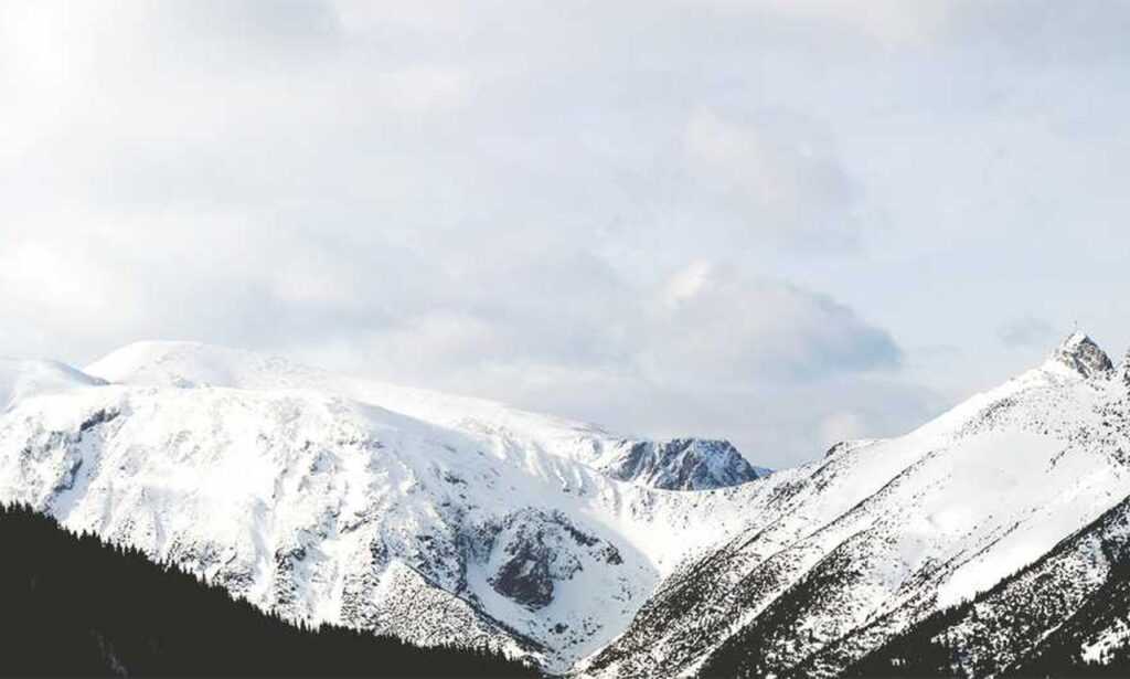 riderkoo roblox skin