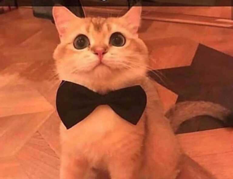 tony barber net worth