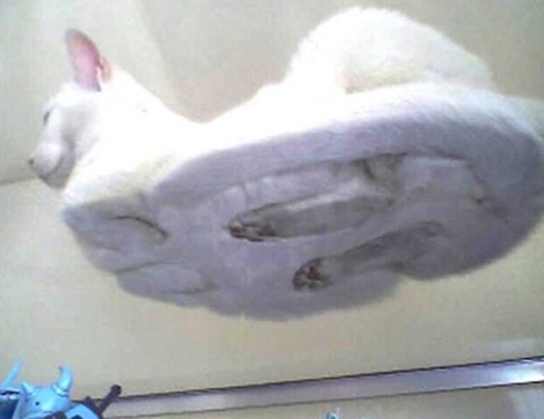 whatsapp fondos de pantalla lgbt