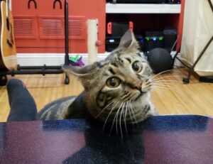 yourstrawberryflame nude