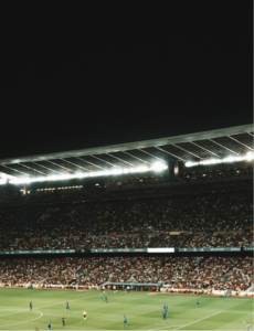 Crowd in a stadium watching a game.