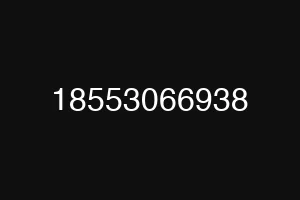 18553066938