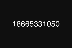 18665331050
