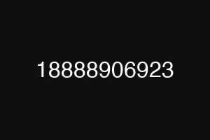 18888906923