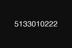 5133010222