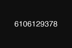 6106129378