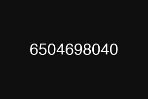 6504698040
