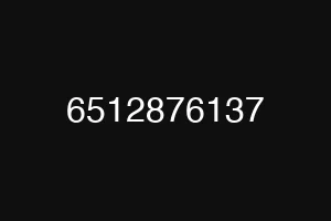 6512876137
