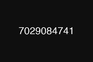 7029084741