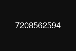 7208562594