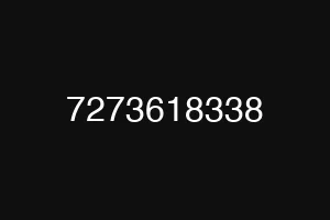 7273618338