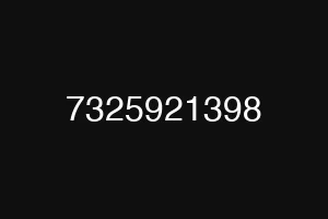 7325921398