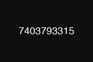 7403793315