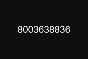 8003638836