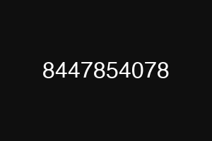 8447854078