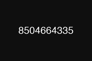 8504664335