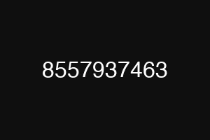 8557937463