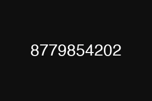 8779854202