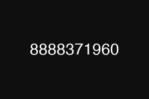 8888371960