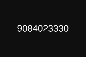 9084023330