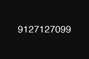 9127127099