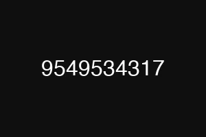 9549534317