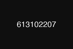 613102207