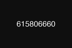 615806660