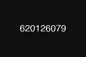 620126079