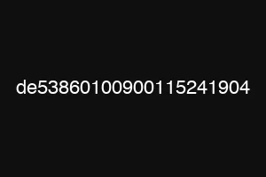 de53860100900115241904