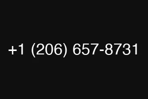+1 (206) 657-8731