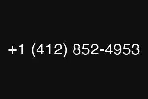 +1 (412) 852-4953