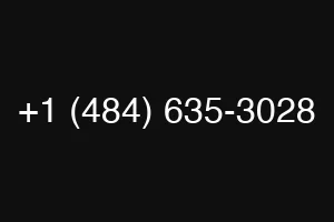 +1 (484) 635-3028