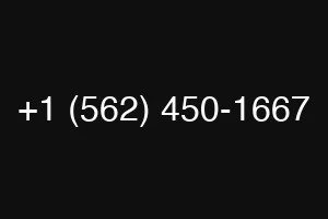 +1 (562) 450-1667