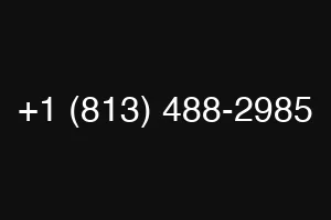 +1 (813) 488-2985
