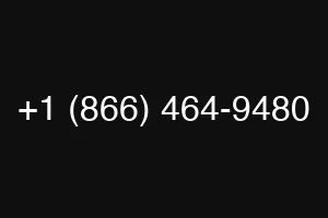 +1 (866) 464-9480