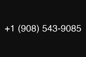 +1 (908) 543-9085