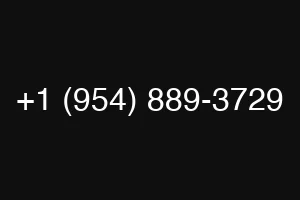 +1 (954) 889-3729