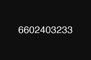 6602403233